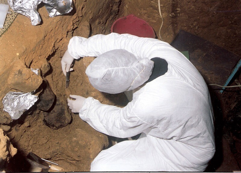 A researcher carefully collects mud samples from the El Sidrón cave in Spain