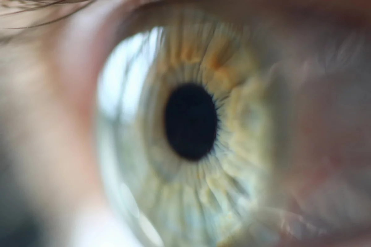 A clinical trial has demonstrated stem cell therapy in reversing damage to the cornea that can cause blindness