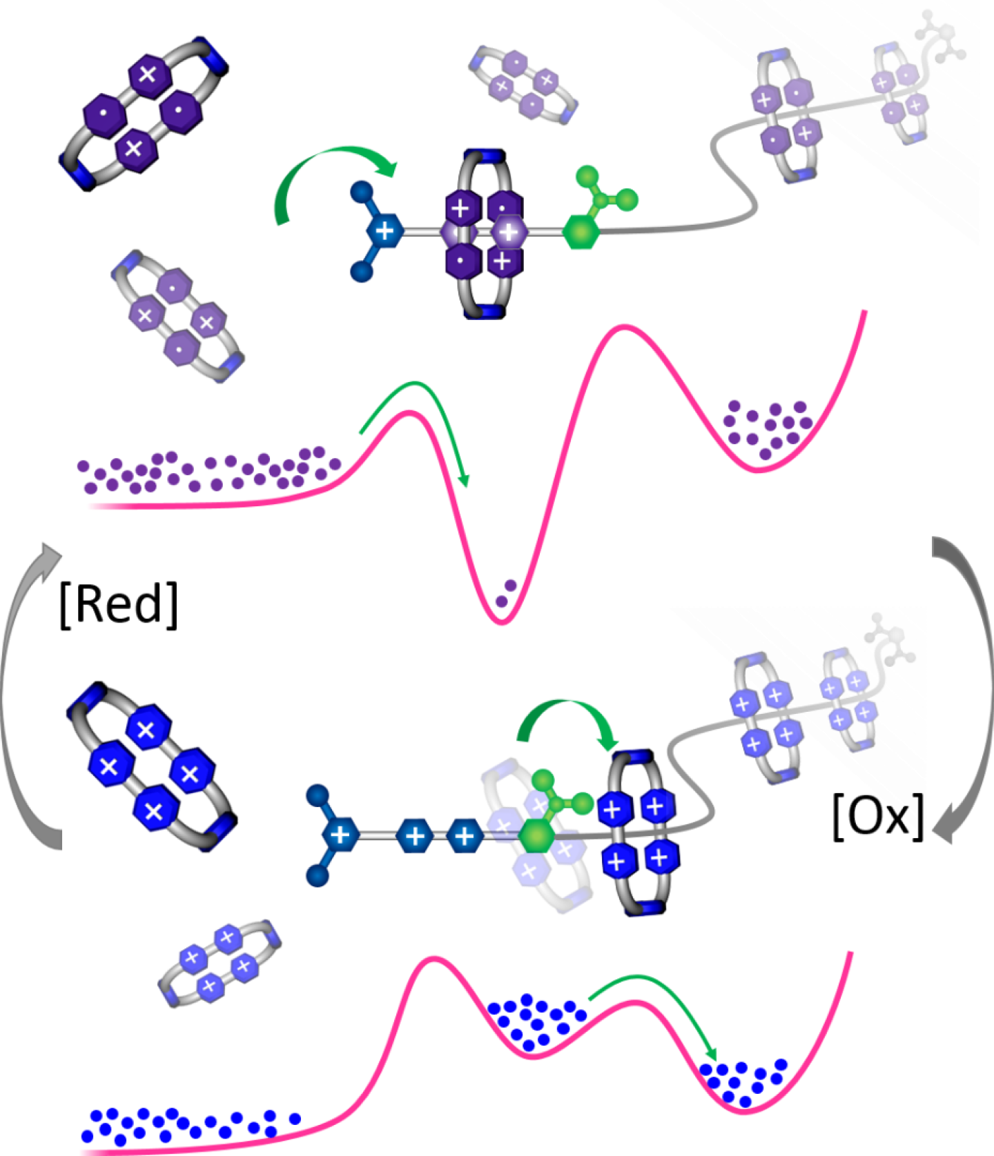 Scientists create world's first fullyartificial molecular pump