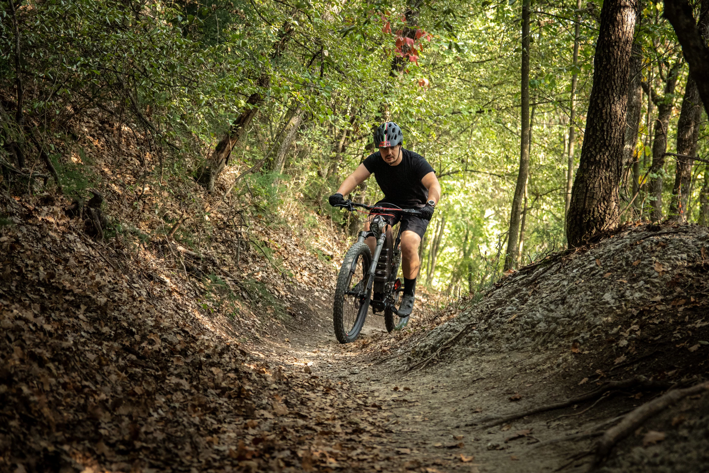 The Tricolore eMTB gets pedal-assist from a Polini mid-mount motor, though a more powerful Bafang model variant is being offered