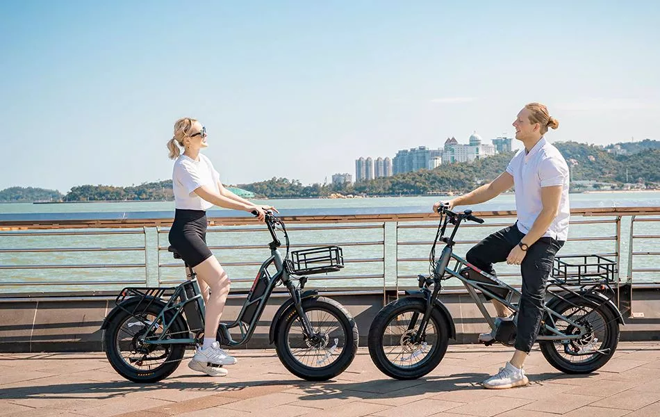 The Gemini Series cargo ebikes are each rated for 400 lb total load capacity