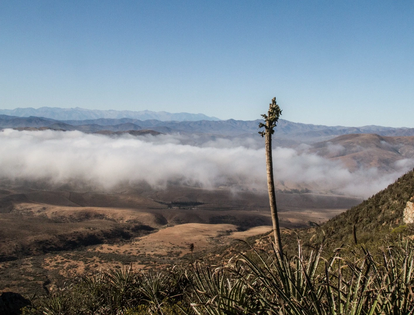 The water was initially channeled toward the native vegetation in the area surrounding Peña Blanca, but it now beginning to trickle down to the people themselves