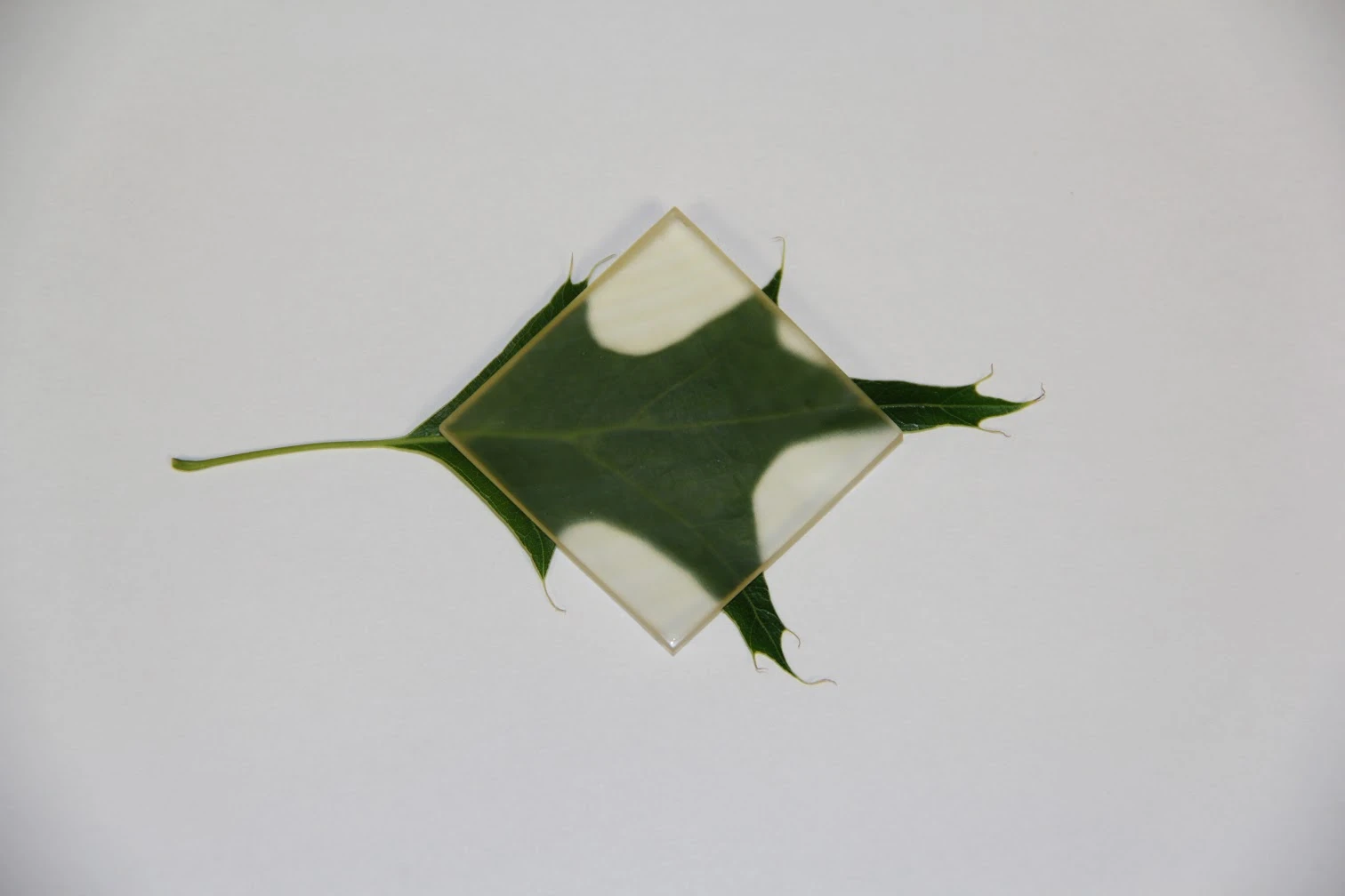 This kind of material could be valuable in helping solar cells to trap light, the team says