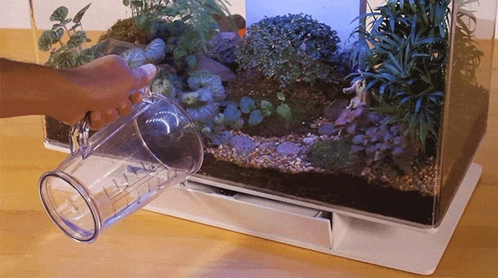 The water tray in the bottom of the SmartTerra needs to be refilled periodically