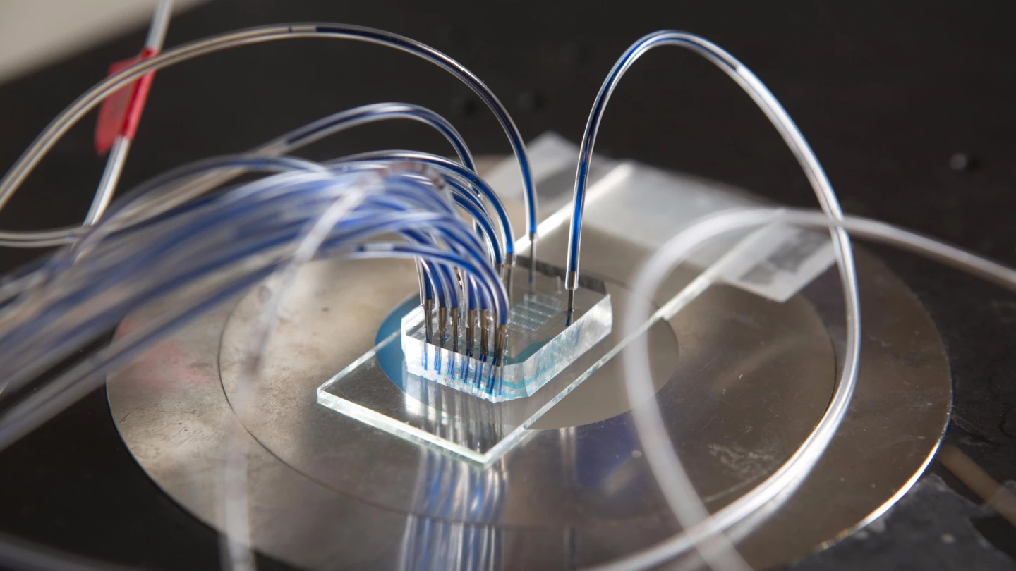 The new system works without the need to pre-treat blood samples, which is a big bonus, as the use of a centrifuge to separate plasma is time-consuming and requires large volume samples