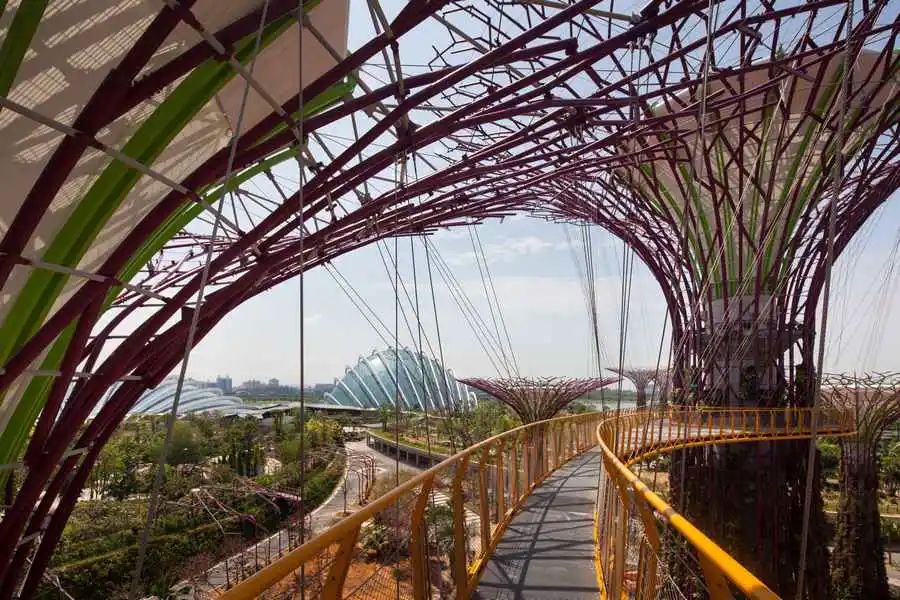 Magic Trees in the Gardens by the Bay, Singapore