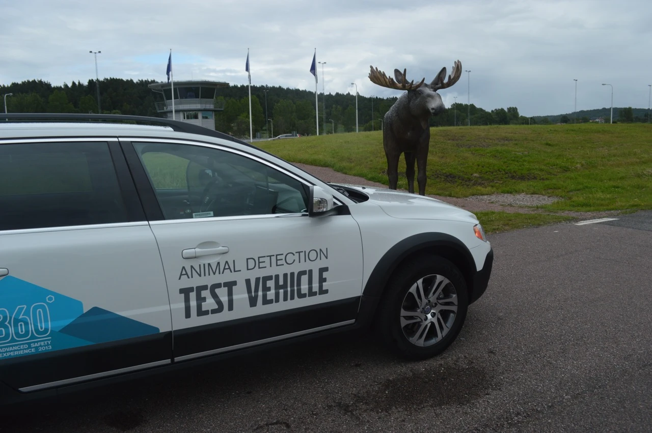 Moose are big, and that makes them dangerous (Photo: Gizmag)