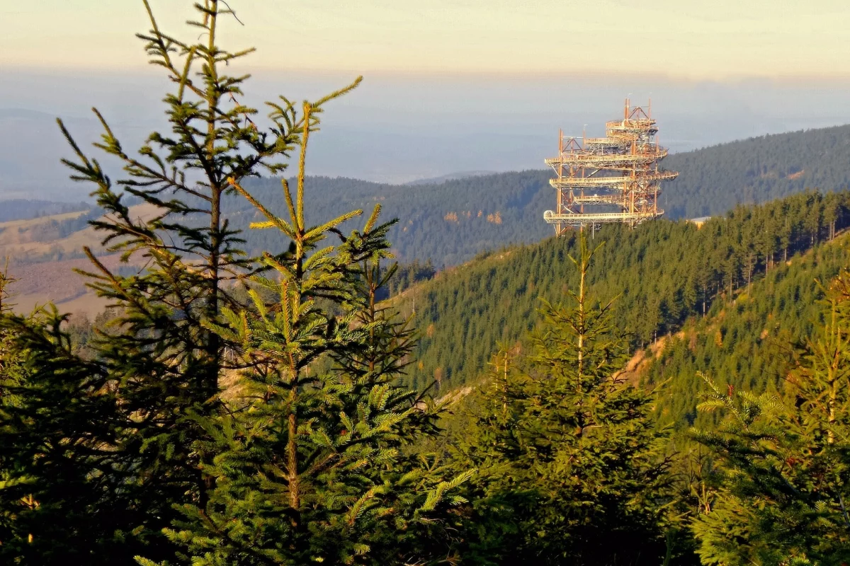 The Sky Walk is located at the top of a mountain 1,116 m (3,661 ft) above sea level