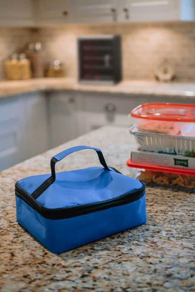 HOTLOGIC Mini Portable Oven  Electric Lunchbox 