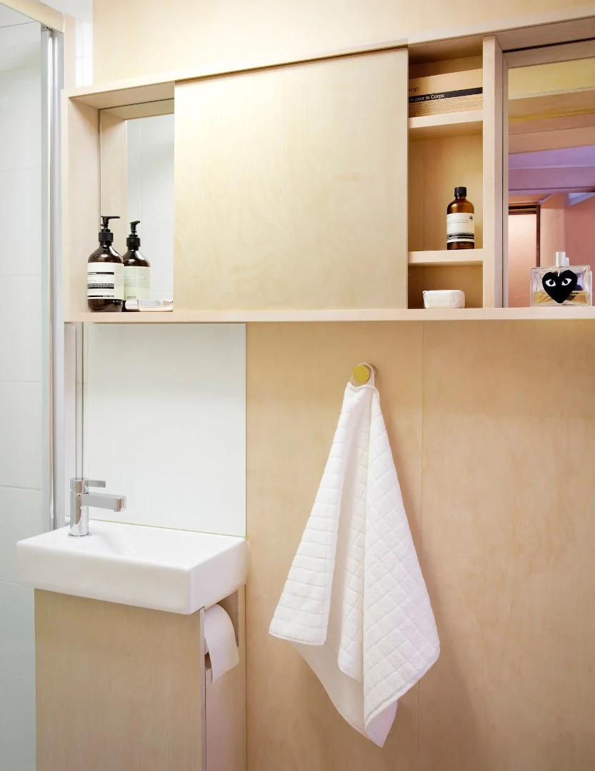 The 13 sq Metre House's small bathroom
