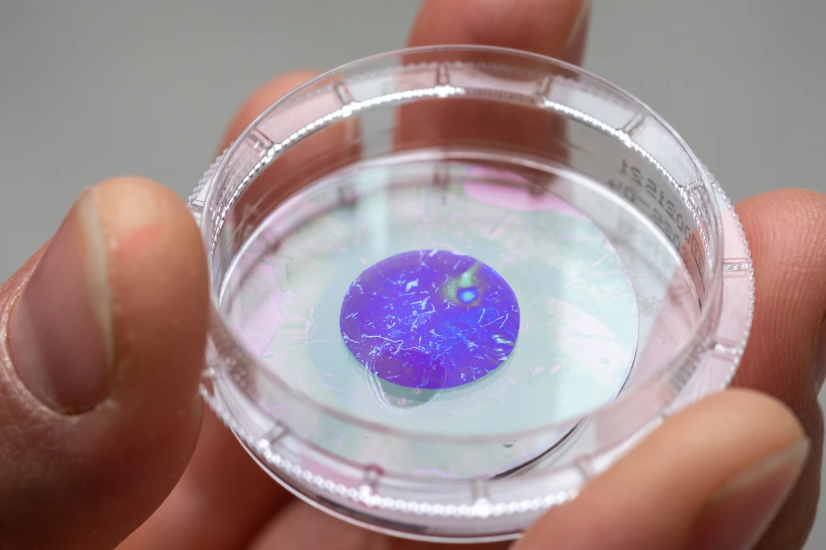 A sample of the light-sensitive film developed for nerve stimulation