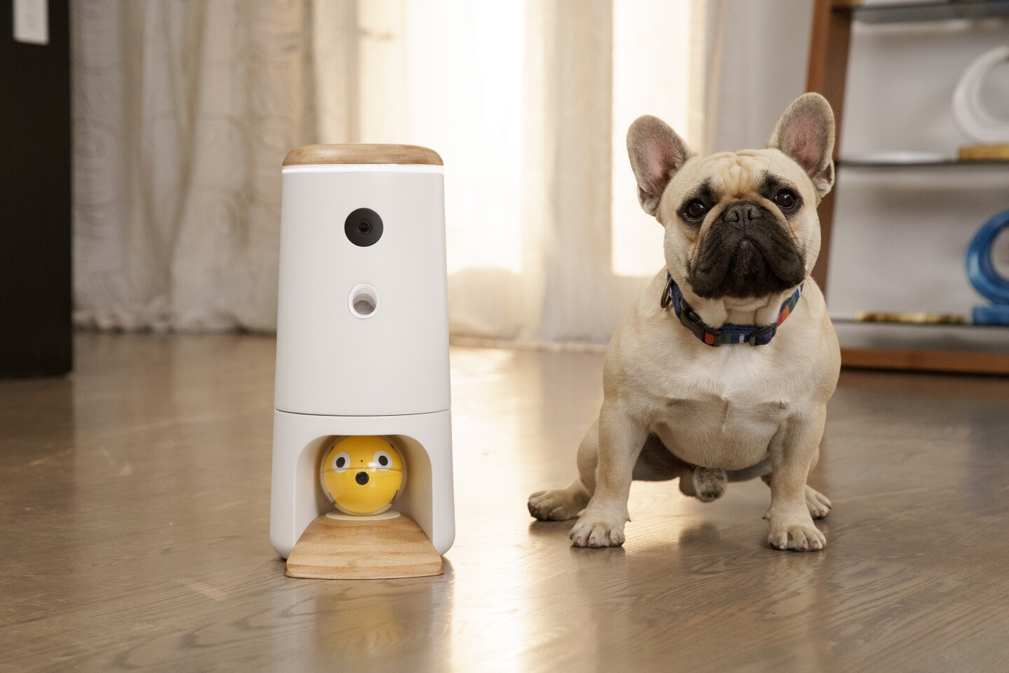 A pledge of $289 is required for the Bird House package (retail $499)