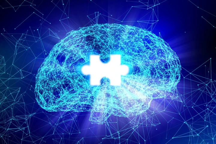 Giant neurons in the brain have been found to stimulate arousal and alertness in the central nervous system
