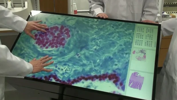 The 46-inch Multitouch Microscope
