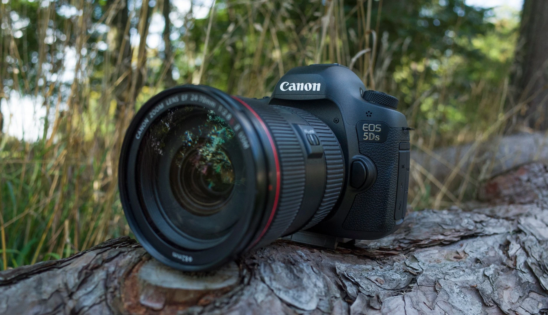 Gizmag reviews the 50-megapixel Canon 5Ds full frame DSLR