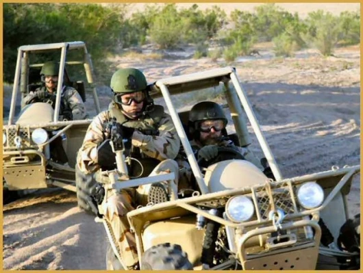 The Prowler Light Tactical All Terrain Vehicle (LTATV)