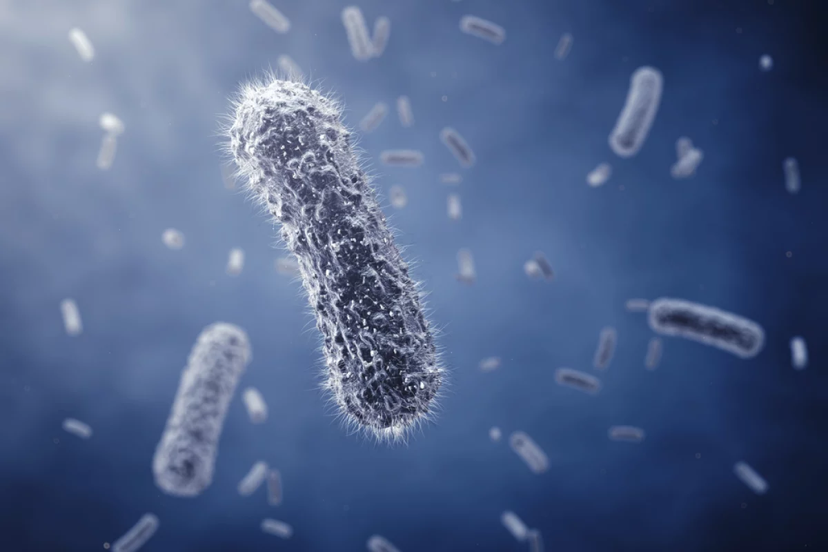 A newly-developed device known as a soft x-ray electrostatic precipitator has demonstrated an unprecedented ability to neutralize airborne pathogens, such as bacteria (Image: Shutterstock)