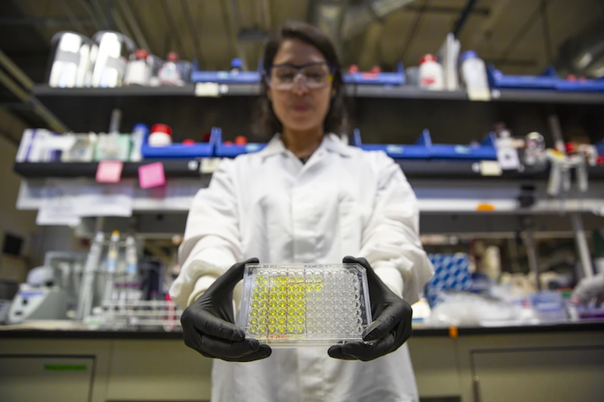 Before a new test developed by Tara deBoer and colleagues at UC Berkeley, it generally took days to test for antibiotic-resistant bacteria in a urine sample