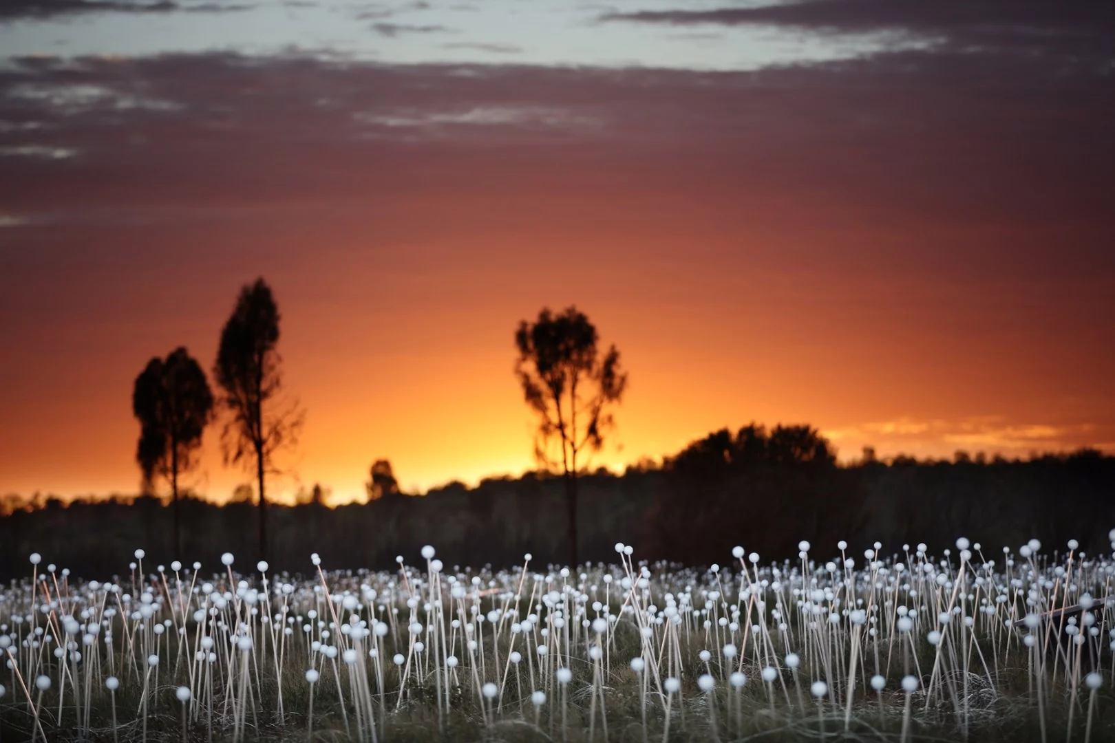 Field of Light has been exhibited in a number of other places since 2004