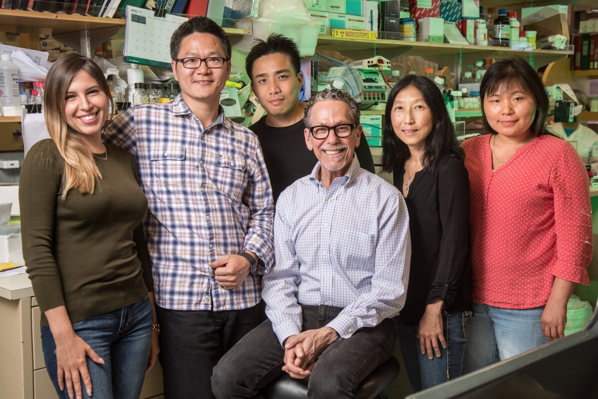 The Salt Institute research team (from left): Wanda Waizenegger, Weiwei Fan, Ryan Lin, Ronald Evans, Ruth Yu and Mingxiao He