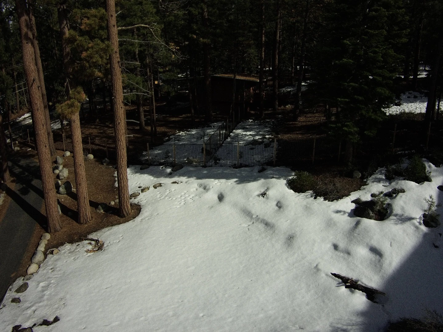 Still photo from ProDrone Byrd Standard