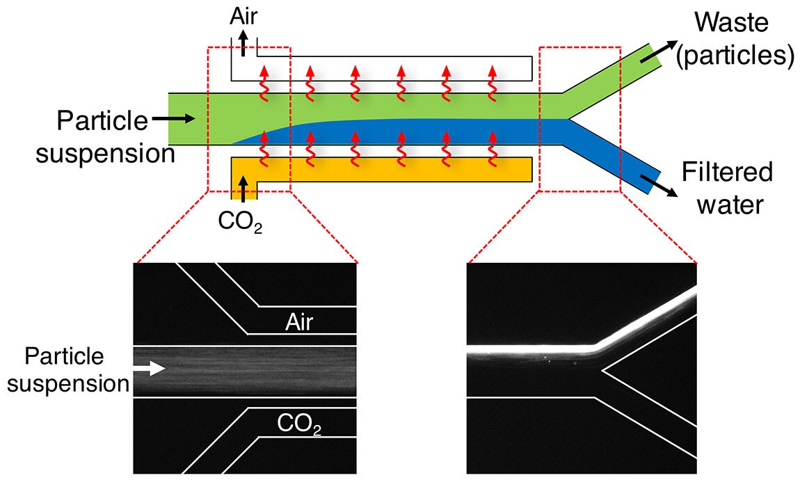 Injecting CO2 into the water channel causes particles to move to one side of the water, depending on their chemical charge