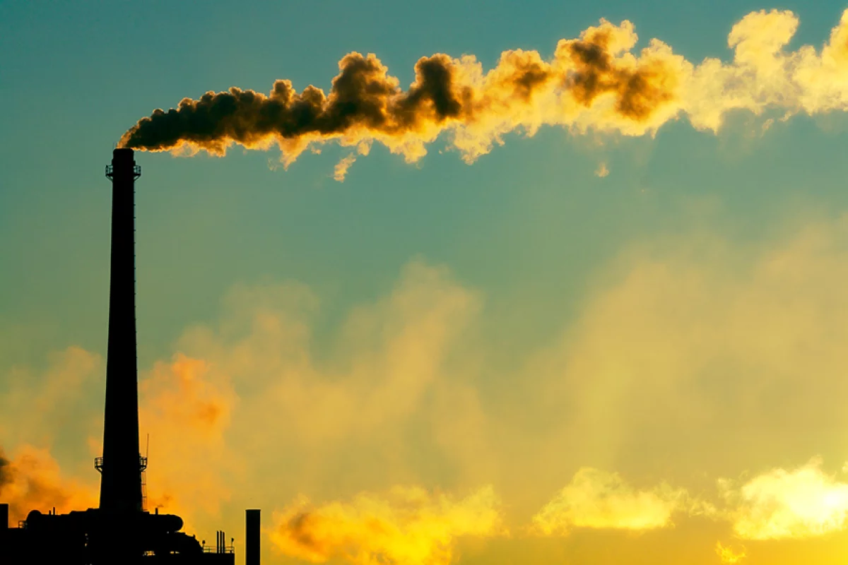 A newly developed "artificial photosynthesis" system from Panasonic could be used to turn carbon dioxide into harmless organic compounds (Photo: Shutterstock)