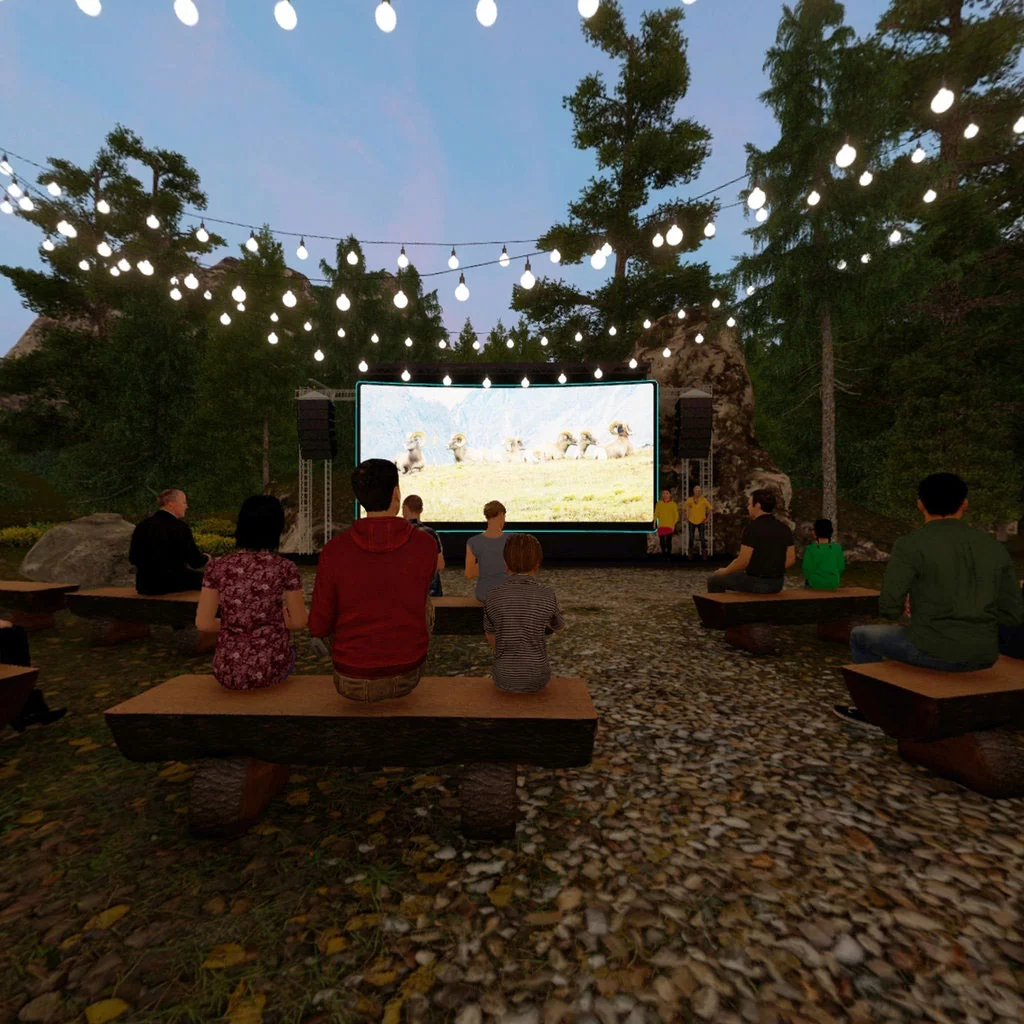 Movie night at the forest campground