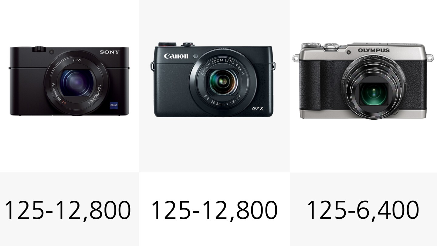 Unsurprisingly, the cameras with bigger sensors have wider native ISO ranges, and are going to perform better in lower-light situations