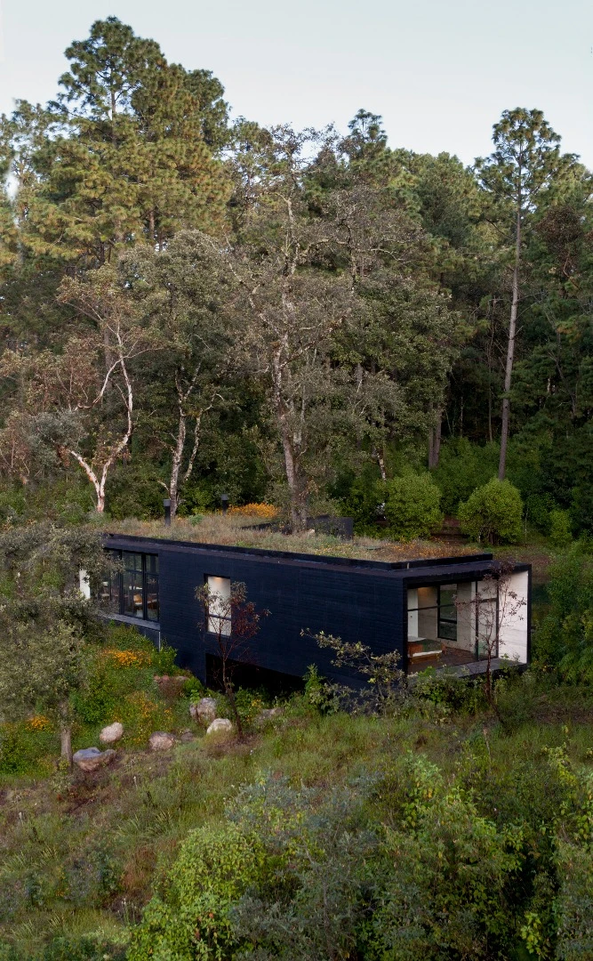 For the materials, the designers of the Casa de la Roca began with trusty ol’ concrete due to its high structural performance, longevity and minimal need for maintenance