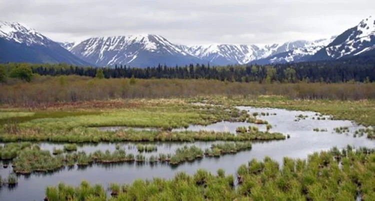 The Arctic permafrost is melting, which will release extra methane and other greenhouse gases