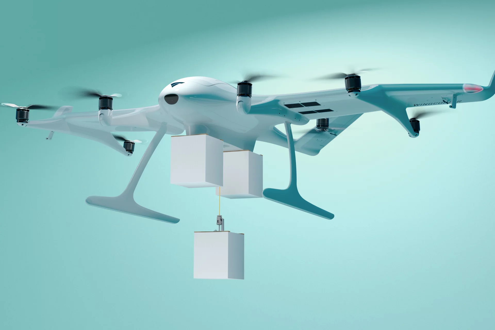 Wingcopter 198