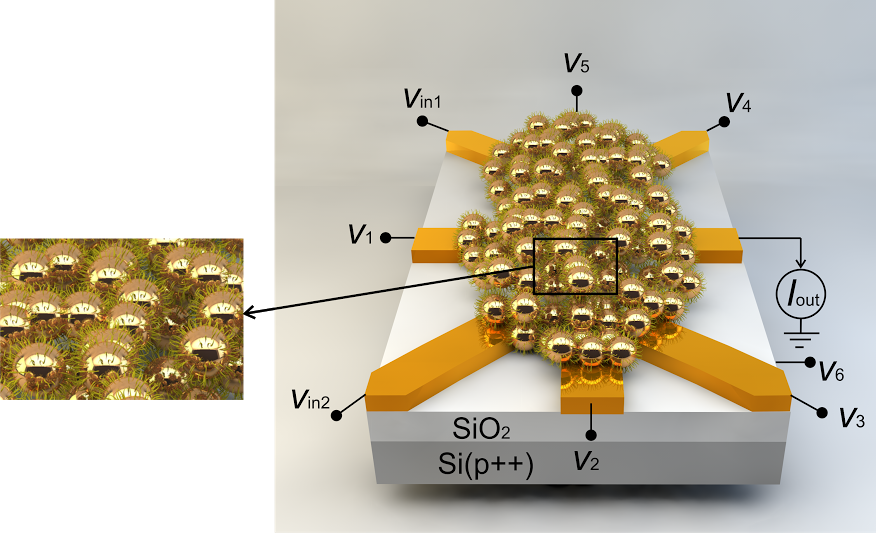 A new chip can process data in different ways depending on the voltages that are applied to the edge of the gold nanoparticle cluster