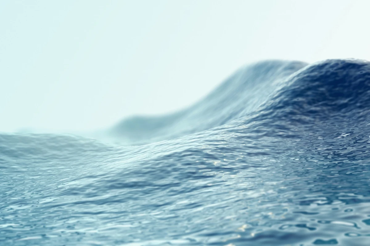 The World Meteorological Organization has detected a record-breaking wave of 19 m (62.3 ft)