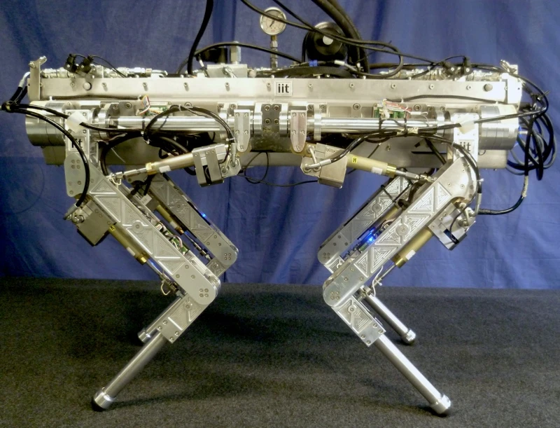 HyQ, the Hydraulically actuated Quadruped robot by IIT (Photo: IIT)