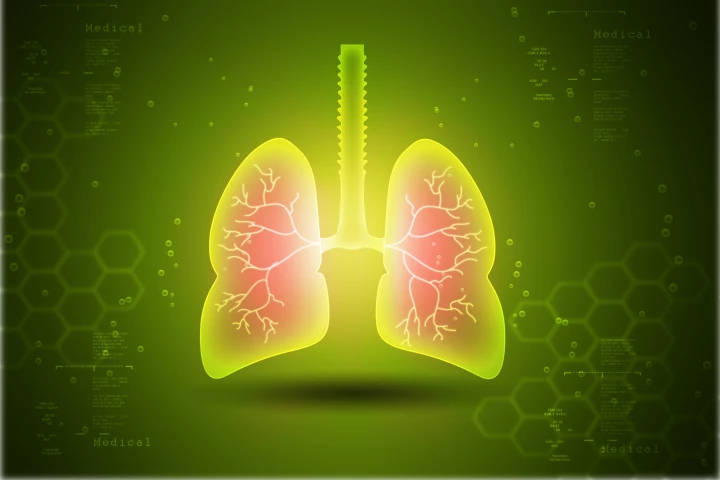 By identifying a protein in human lungs, scientists may have uncovered a new treatment for asthma and chronic obstructive pulmonary disease