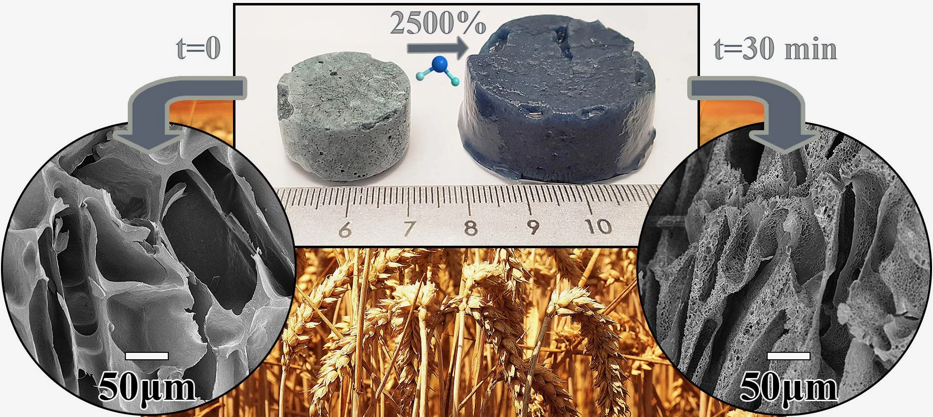 An illustration of the material's ability to absorb liquids