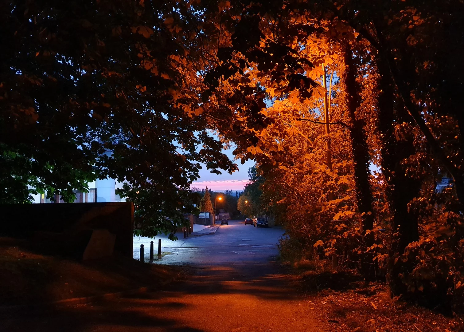 As you would expect, the S10 struggles with light and dark contrasts when there's not much light available – but you still get better-than-average results