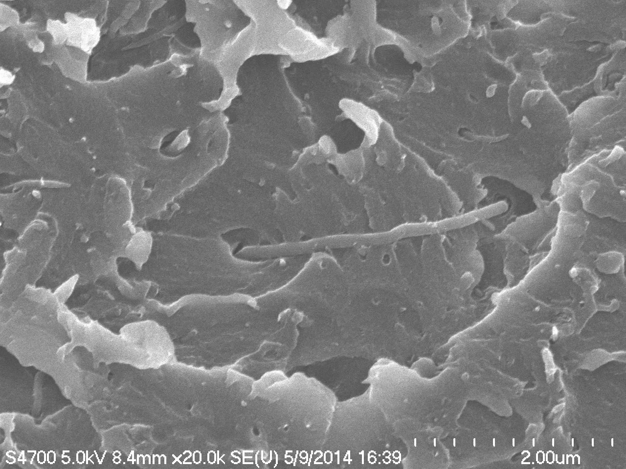 A Scanning Electron Microscopy (SEM) image of the new ultra-strong polymer reinforced with carbon nanotubes (Image: IBM)