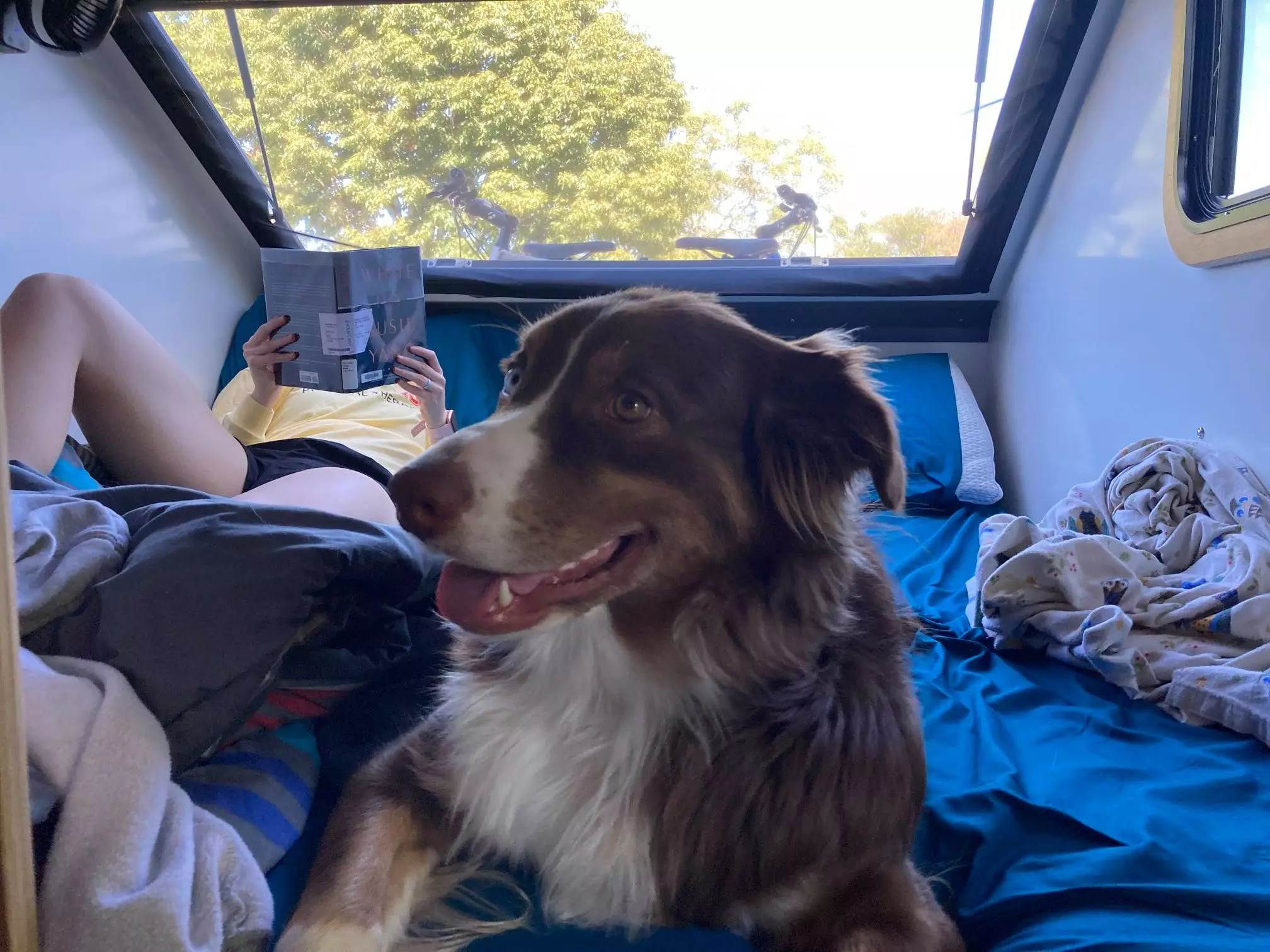 Enjoying the fresh air from the flip-up window with screen