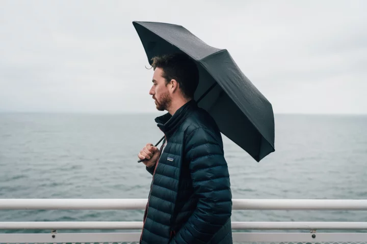 The Hedgehog Carbon umbrella will help you stay dry in stormy weather