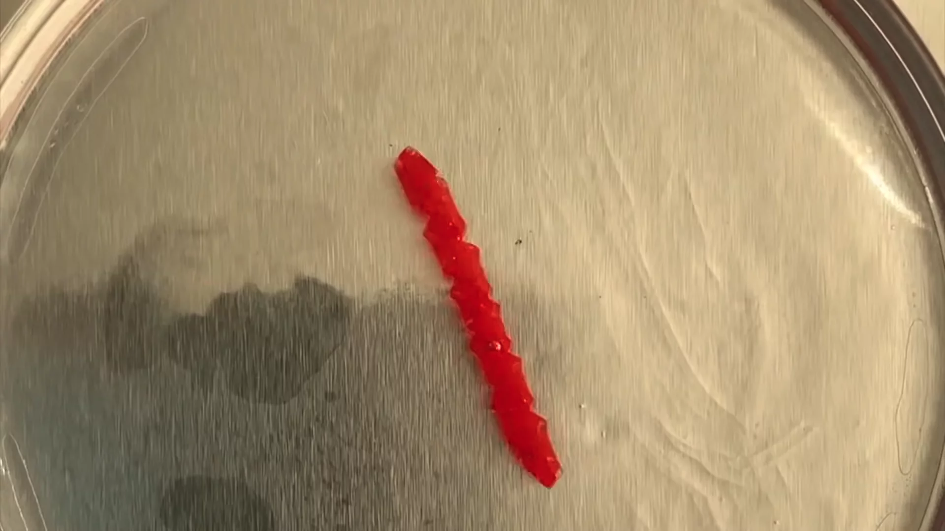 A sample of a new class of materials called a glassy gel