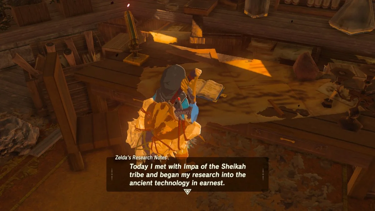 Zelda's research journal.
