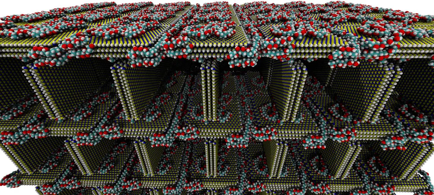 This simulated image shows the structure of the foam, with sheets of hexagonal-boron nitride (blue and yellow), with PVA molecules holding carbon (teal), oxygen (red) and hydrogen (white)