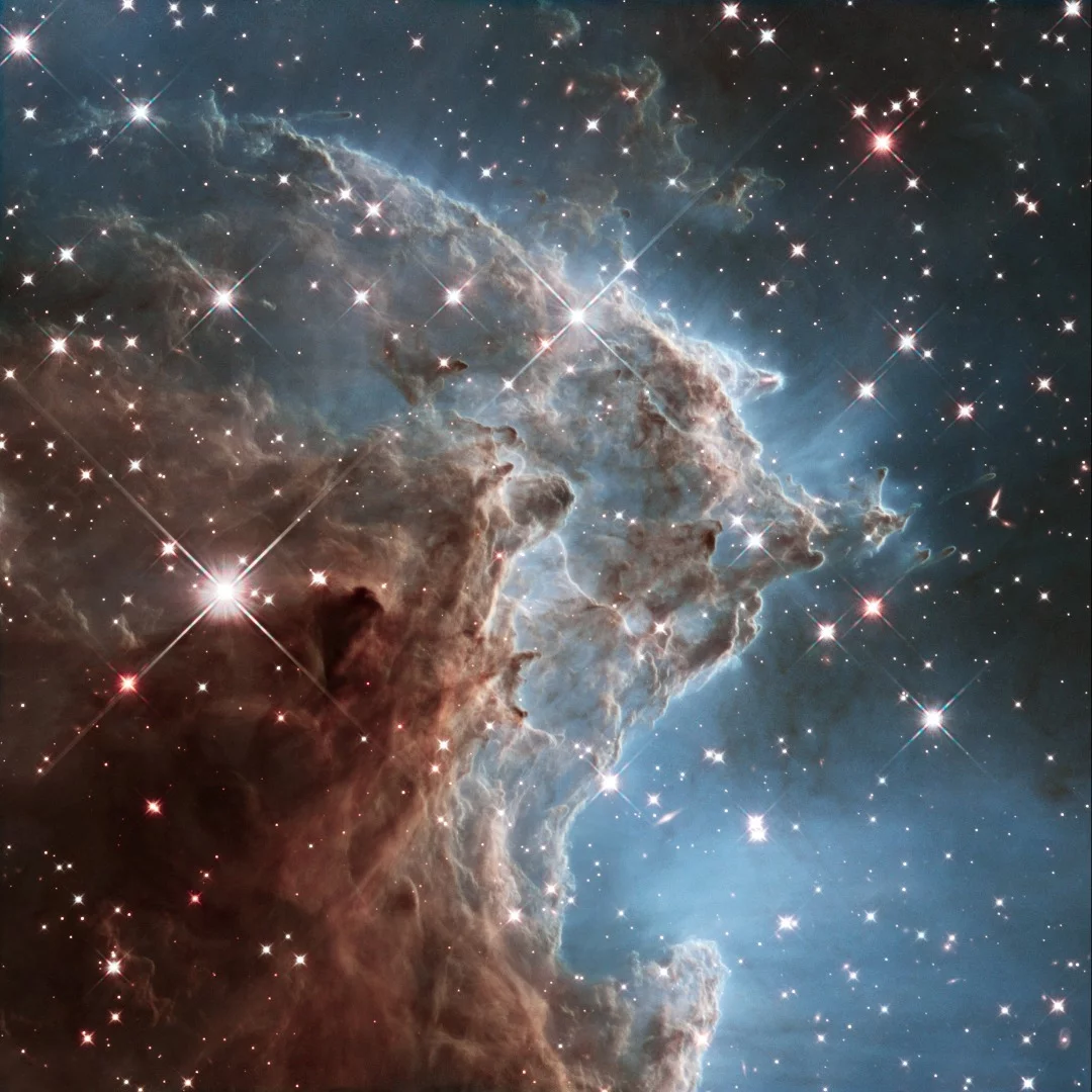 A mosaic of infrared images of the Monkey Head Nebula, a cloudy star-forming region located about 6,400 light-years from Earth.