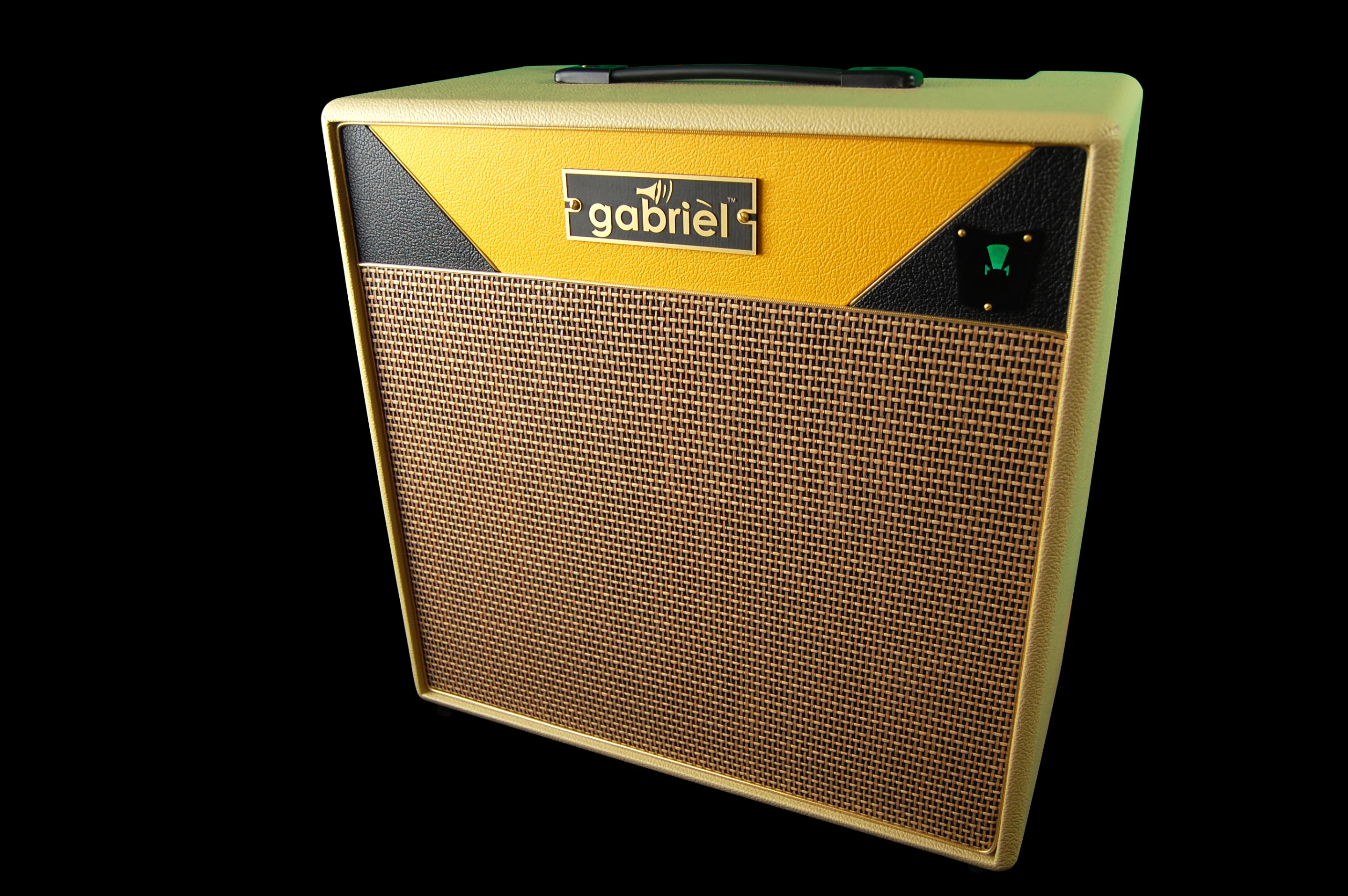 The Stinger combo with 10-inch speaker
