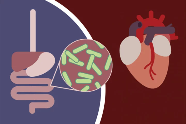 New research has homed in on the bacterial gene responsible for metabolizing cholesterol, although the exact gut microbiome microbe doing this in humans is still unknown