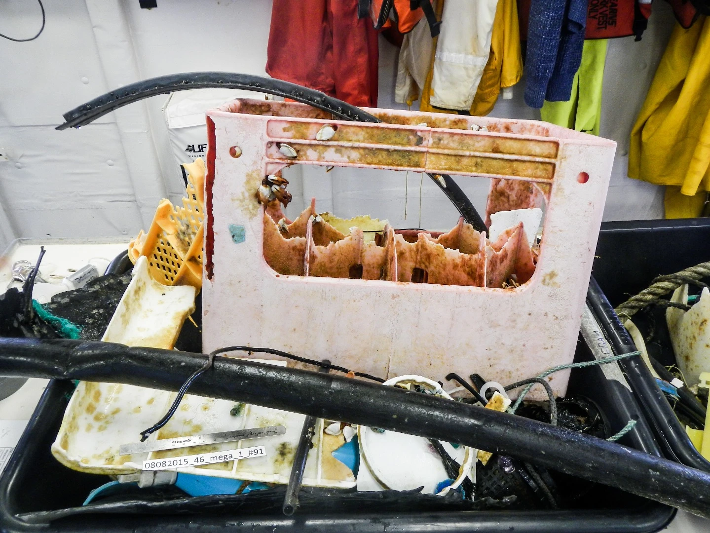 Plastic samples from a new survey of the Great Pacific Garbage Patch