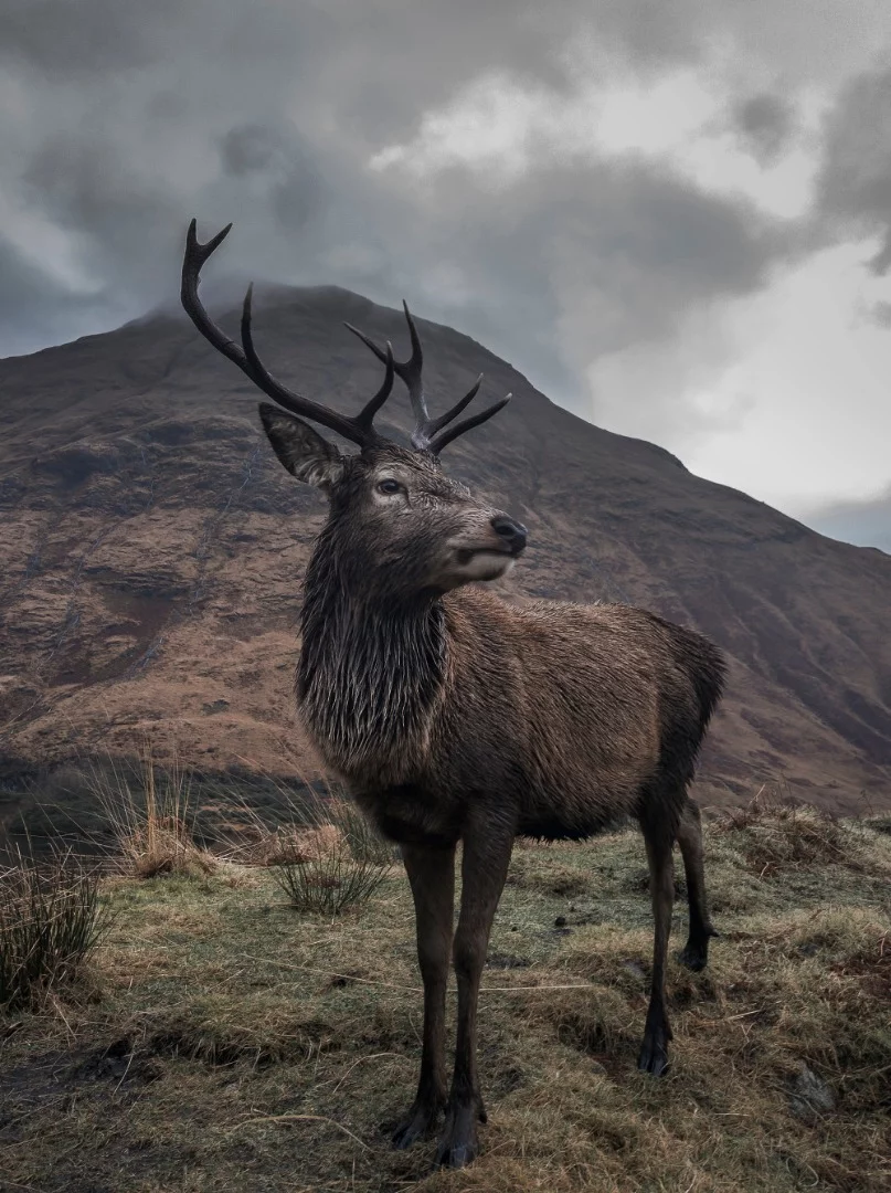 An example of the kind of shots the Nokia 9 PureView can take