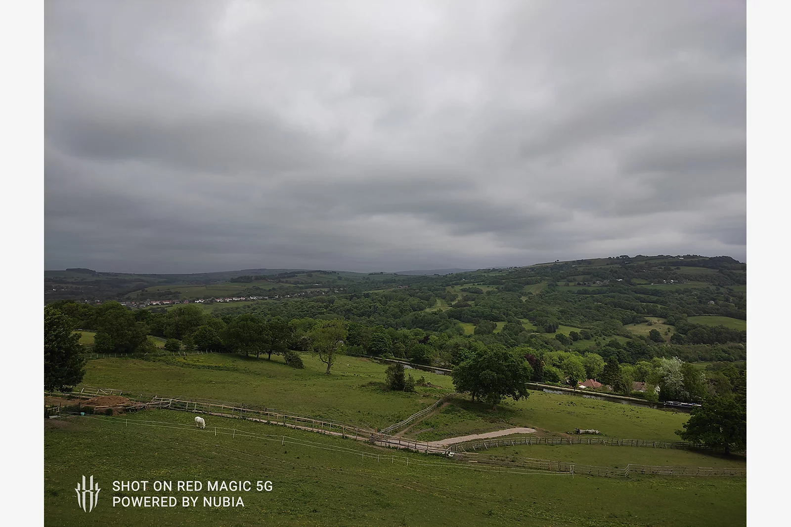 The RedMagic 5G is capable of taking some great photos, even on cloudy days